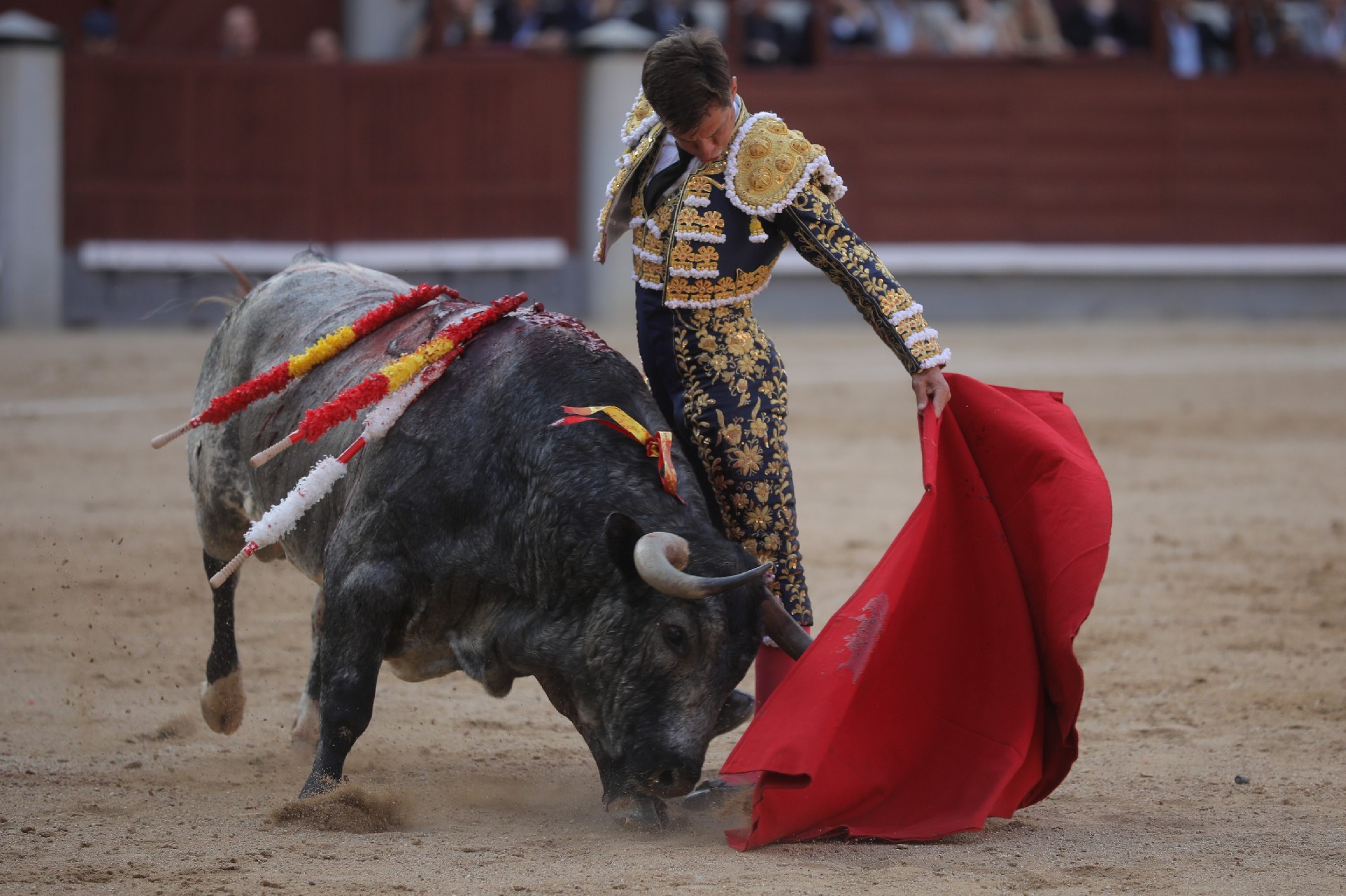 CORRIDA DE TORO.jpg